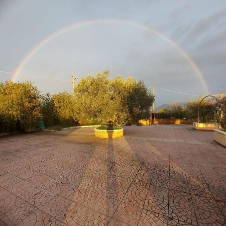 Lisandro Wine Resort Apartments Caserta Castel Campagnano Eksteriør bilde