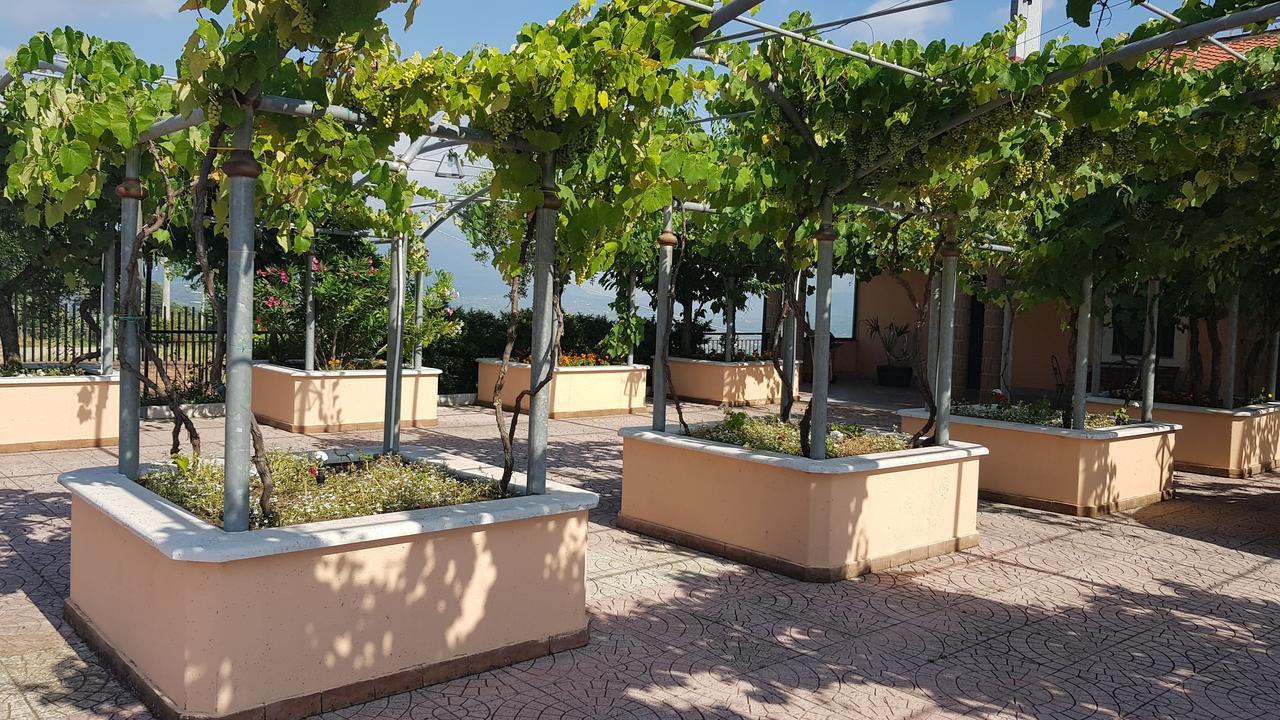Lisandro Wine Resort Apartments Caserta Castel Campagnano Eksteriør bilde