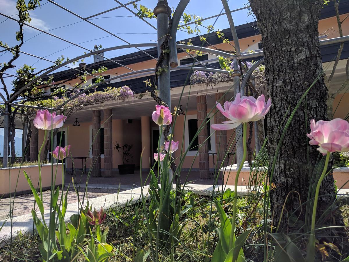 Lisandro Wine Resort Apartments Caserta Castel Campagnano Eksteriør bilde